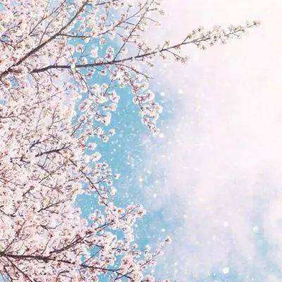 澳门捕鱼平台网页游戏在线app官方入口