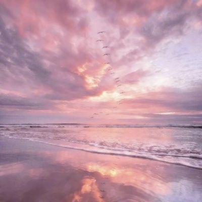 皇冠新体育APP手机app下载