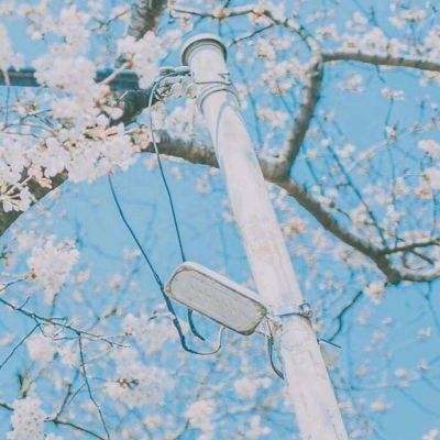 大众彩票入口welcomeapp下载