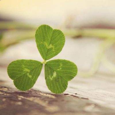 体育电竞押注网站大全