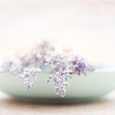 ag入口官网登录下载手机版