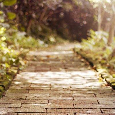 196体育(官方)APP下载安装